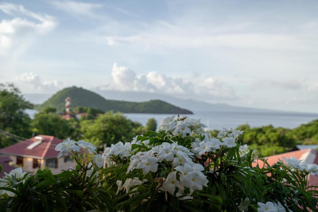 Bungalow Anse Figuier Terre-De-Haut Exterior photo